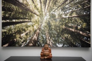 Mindfulness Training