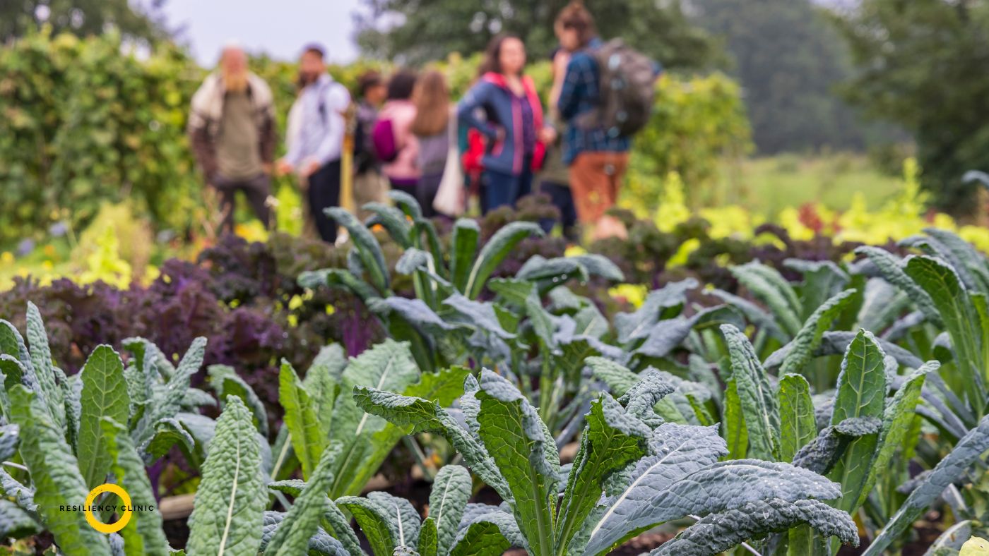 Community gardens: a great option to enjoy time outdoors.